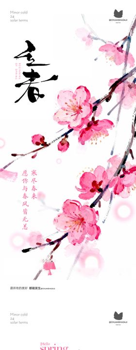立春梅花海报