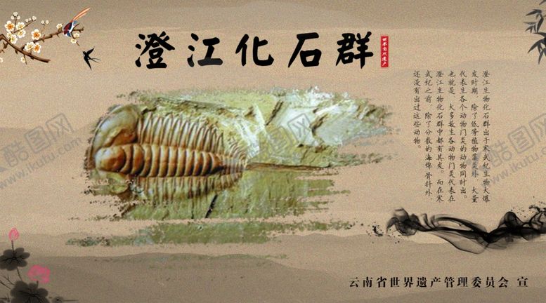 编号：53466906301718167488【酷图网】源文件下载-澄江化石群