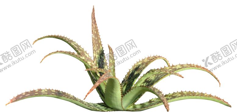 编号：47343609260854199252【酷图网】源文件下载-免扣植物素材