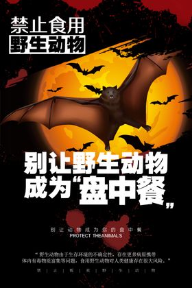 野生动物保护卡