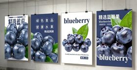 蓝莓主题海报展示