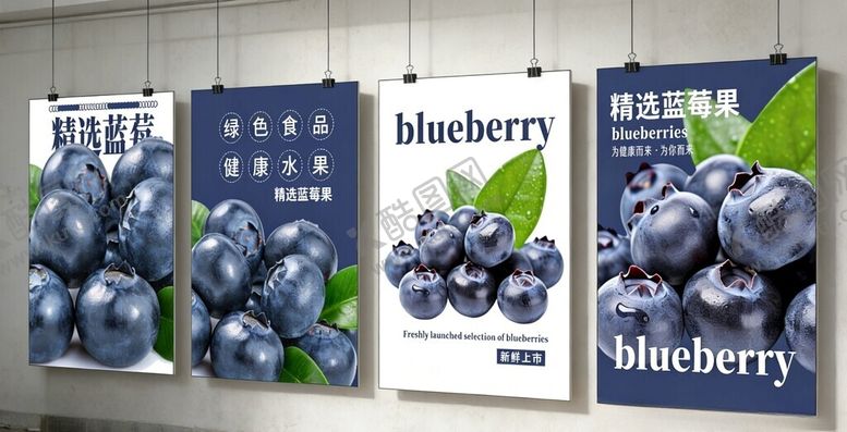 编号：50819204050250388420【酷图网】源文件下载-蓝莓主题海报展示