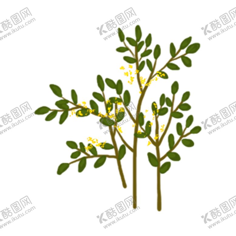 编号：78172910130430344700【酷图网】源文件下载-树叶
