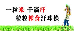 节约粮食