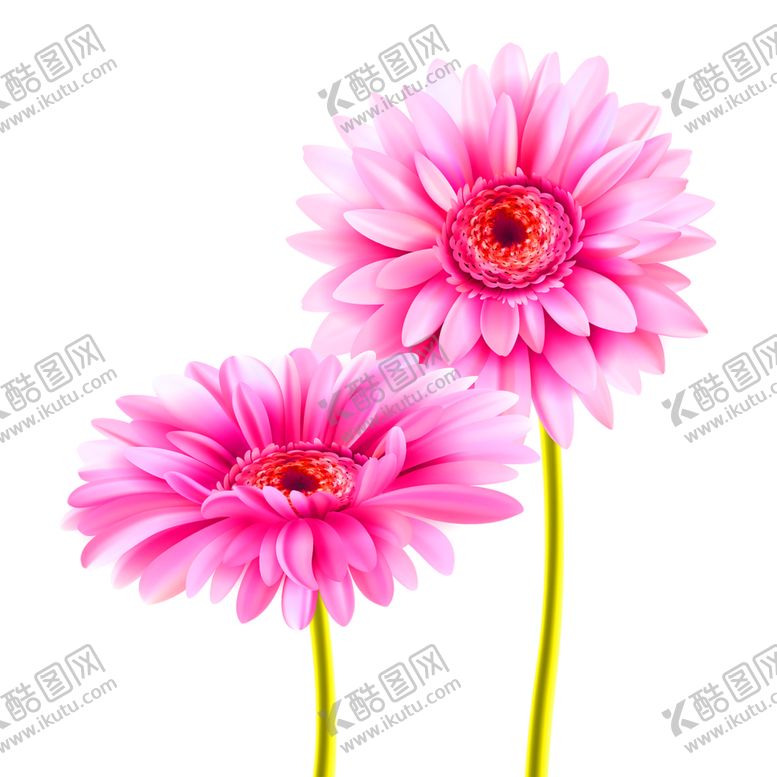 编号：26450210230418372971【酷图网】源文件下载-鲜花装饰