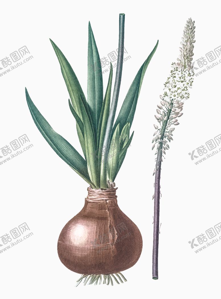 编号：79408710291548074269【酷图网】源文件下载-叶子