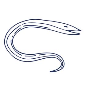 手绘海洋生物