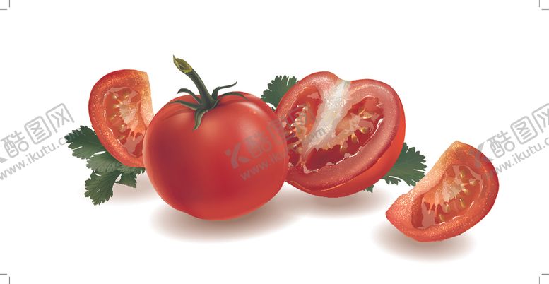 编号：92392010161315401538【酷图网】源文件下载-西红柿