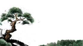 水墨中国风迎客松