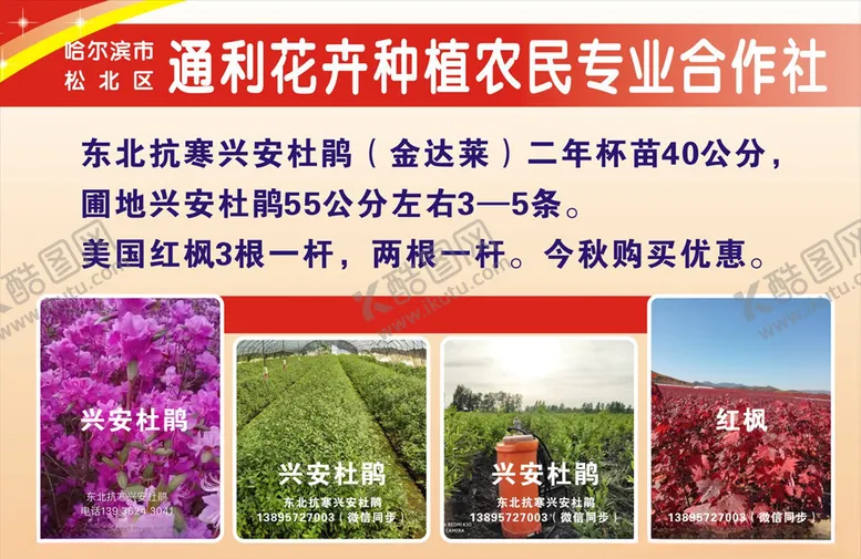 编号：59404806291433249200【酷图网】源文件下载-宣传彩页