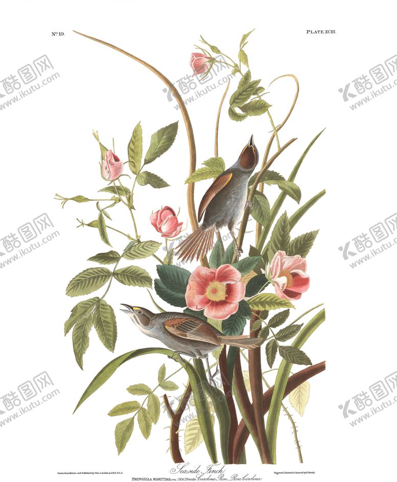 编号：90907212130146528670【酷图网】源文件下载-油画
