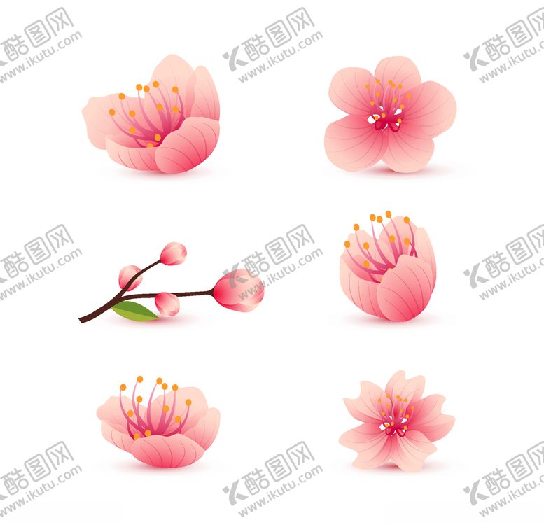 樱花AI设计素材植物卉树AI矢量图