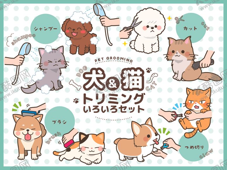 编号：84257006300256075540【酷图网】源文件下载-宠物店图片