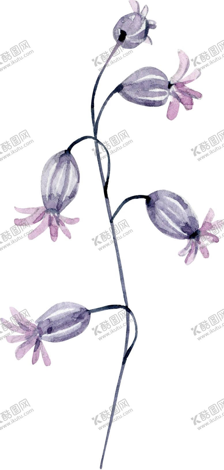 编号：66879710280812266360【酷图网】源文件下载-水彩绘画花朵树枝装饰