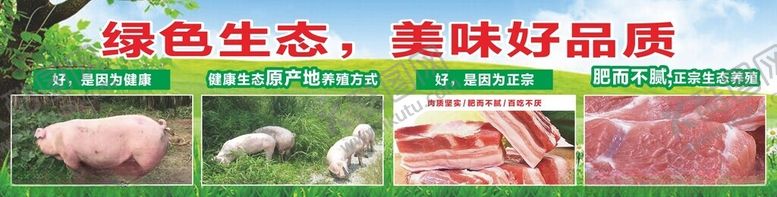 编号：67302202150710586829【酷图网】源文件下载-新鲜猪肉