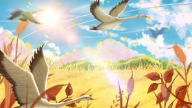 小清新简约创意海报图片安逸森系插画