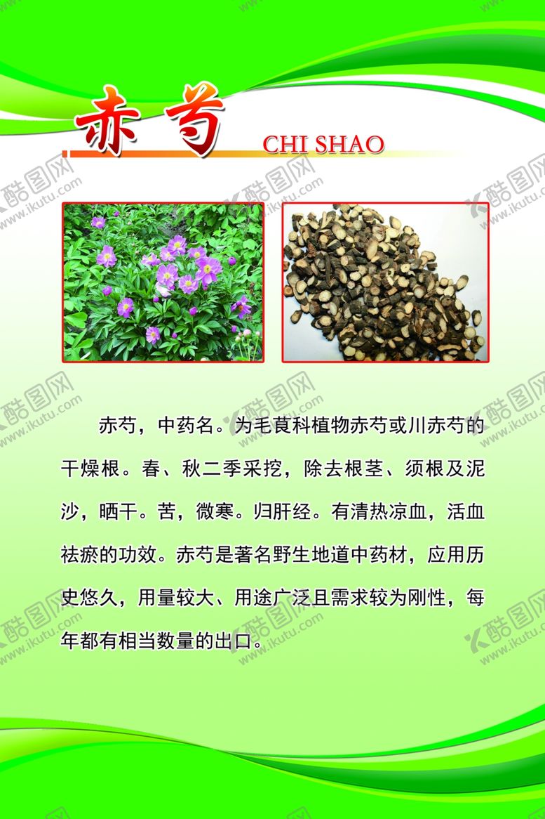 编号：19632405031349484641【酷图网】源文件下载-赤芍