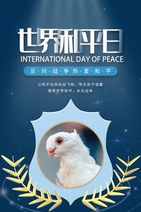国际和平日