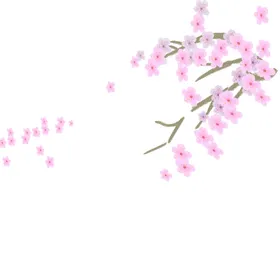 梅花桃花PNG传统文化广告设计樱