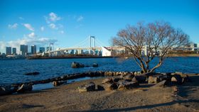 大桥建筑天空河流风景