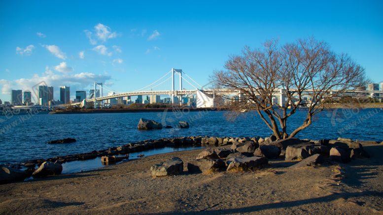 编号：13950910211442104216【酷图网】源文件下载-大桥建筑天空河流风景