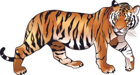 卡通老虎