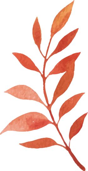 水彩植物