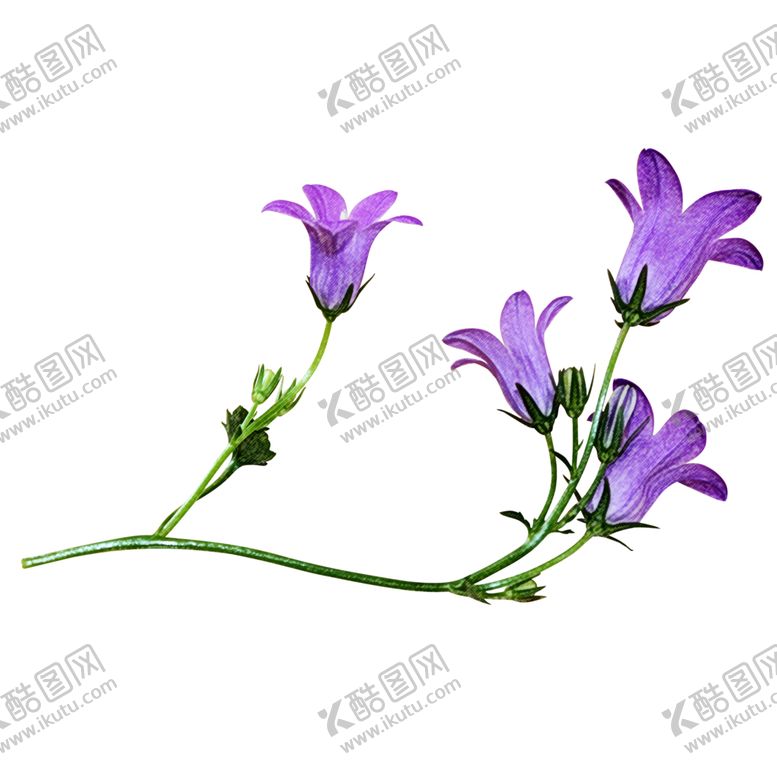 编号：22486006190834588217【酷图网】源文件下载-花边