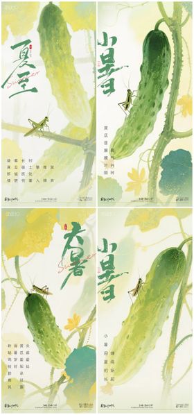 夏至小暑大暑花卉系列