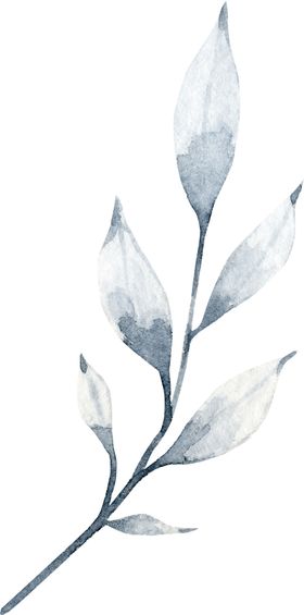 水彩绘画花朵树枝装饰
