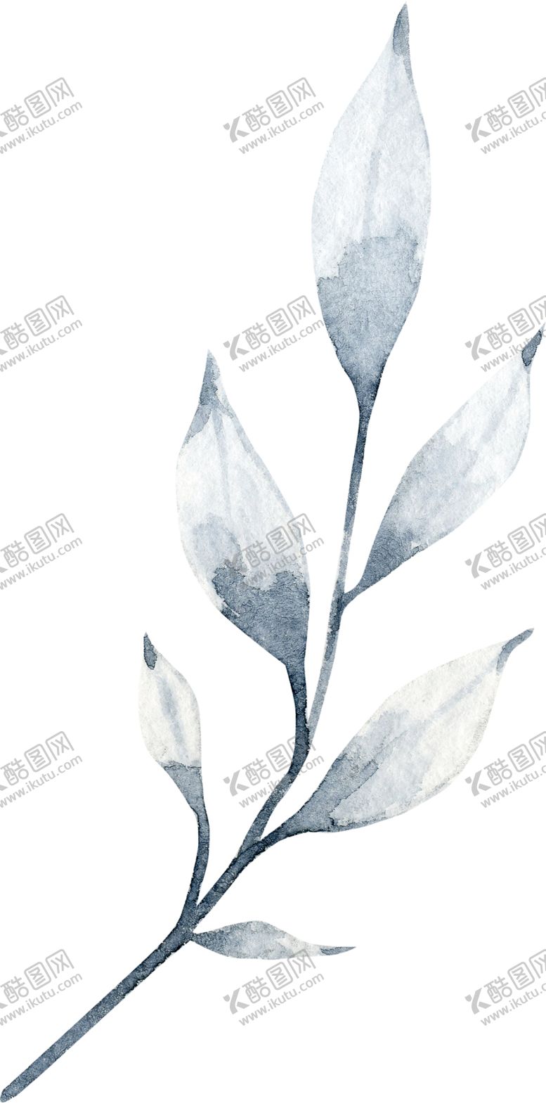 编号：77579710230513402959【酷图网】源文件下载-水彩绘画花朵树枝装饰