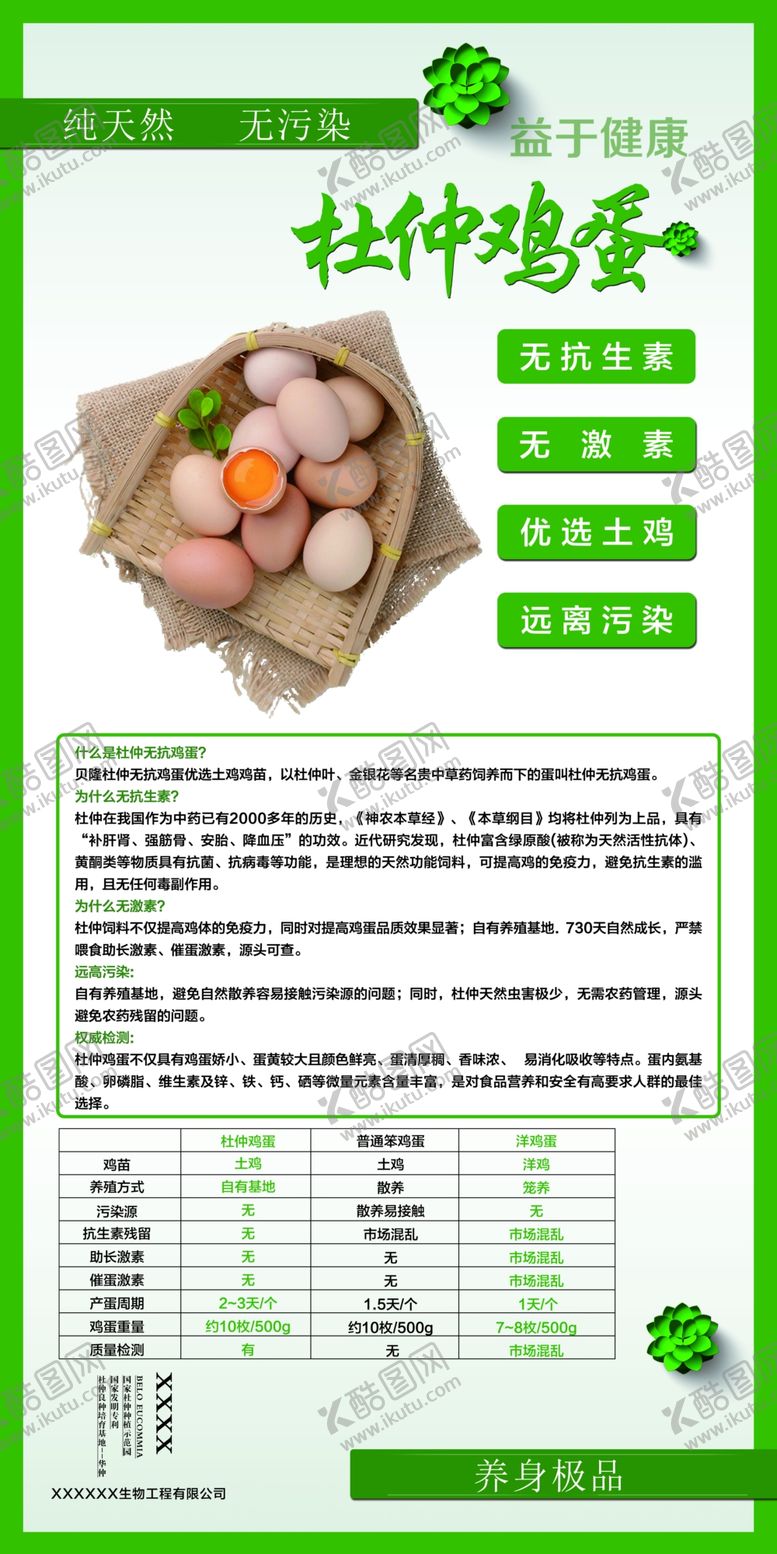 编号：20185506302114495191【酷图网】源文件下载-杜仲鸡蛋