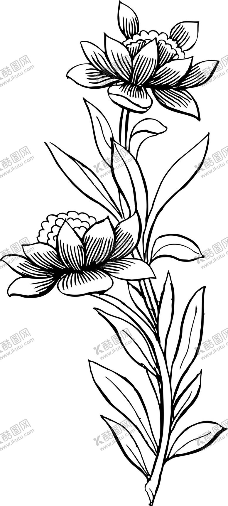 编号：38073910180020372202【酷图网】源文件下载-植物艺术线条