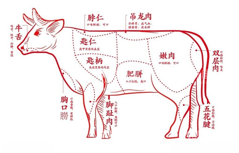 编号：79253302210729588191【酷图网】源文件下载-牛肉部位分解