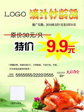 鸽子