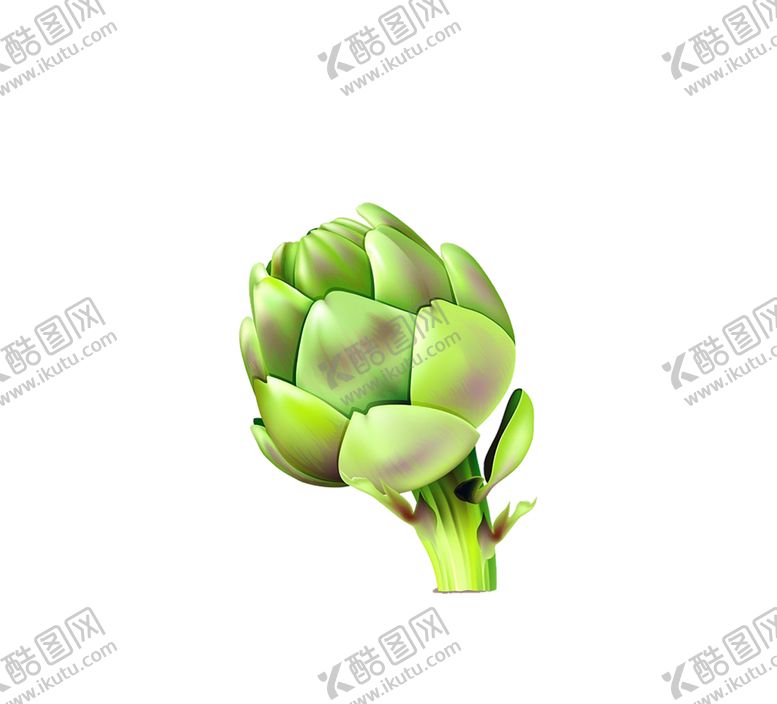 编号：53331110041928589335【酷图网】源文件下载-绿色植物