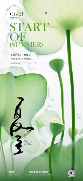 夏至节气稿