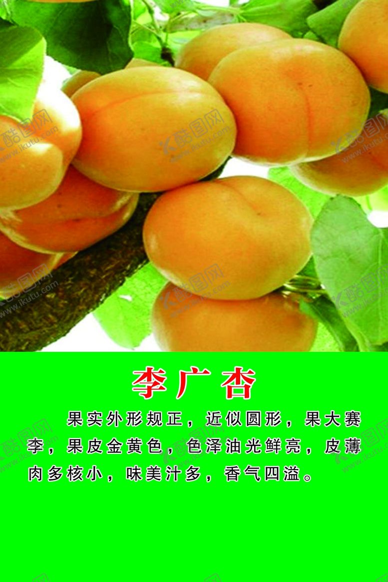 编号：41923306160526054155【酷图网】源文件下载-李光杏