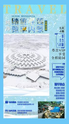 冬季莲花