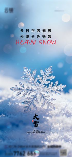 地产大雪节气推图