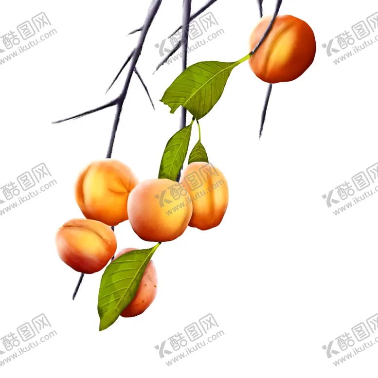 编号：66051504181405599922【酷图网】源文件下载-霜降