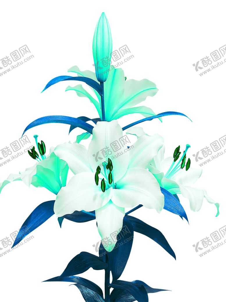 编号：87859407032014098975【酷图网】源文件下载-浪漫素材