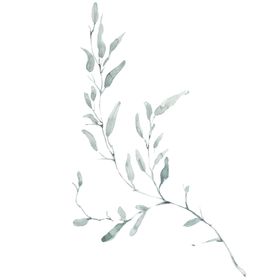小清新水彩植物树枝