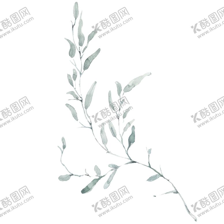 编号：95741706161730335391【酷图网】源文件下载-小清新水彩植物树枝