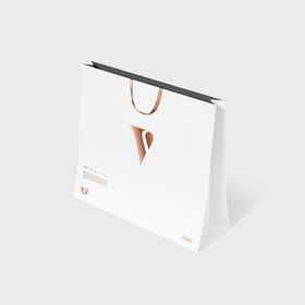 手提礼盒样机