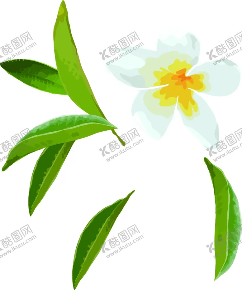 编号：53149102031942409087【酷图网】源文件下载-植物素材