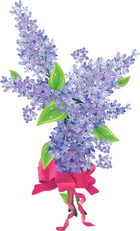 丁香花