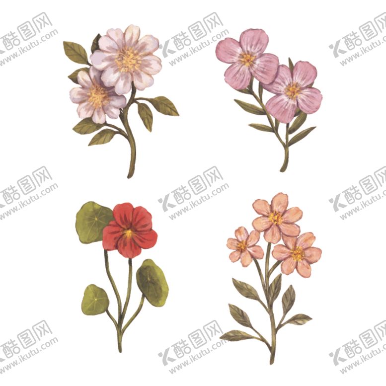 编号：87913010281002424011【酷图网】源文件下载-手绘鲜花