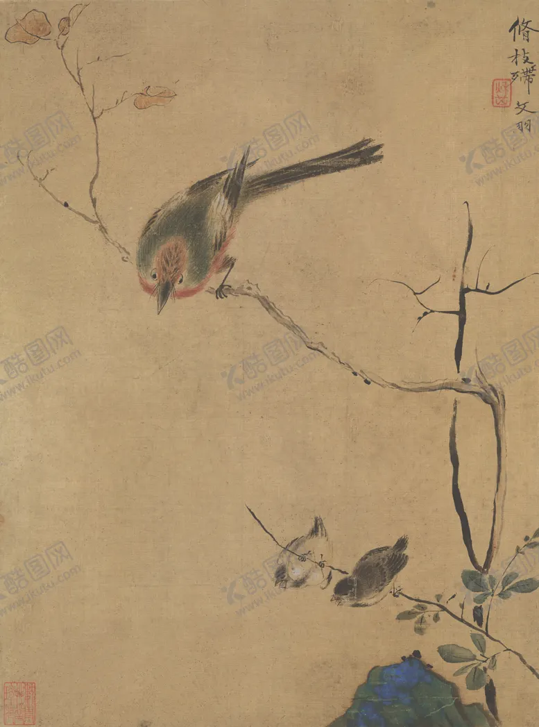 编号：96055406290555561089【酷图网】源文件下载-清代恽寿平花草绘画