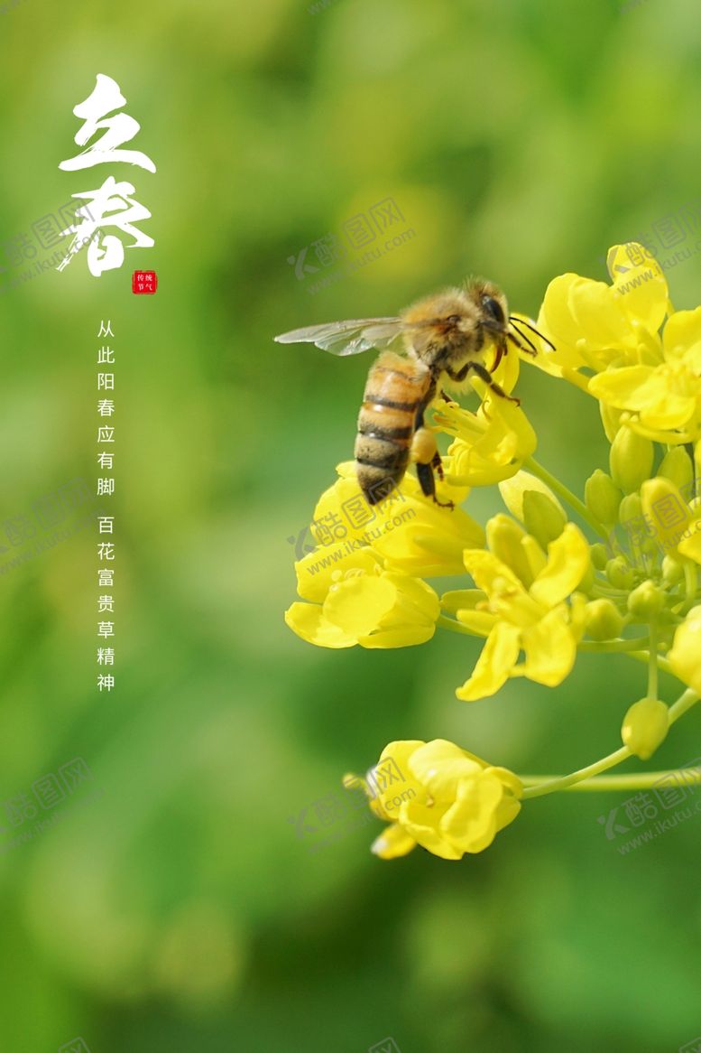 编号：30541104242256175335【酷图网】源文件下载-立春